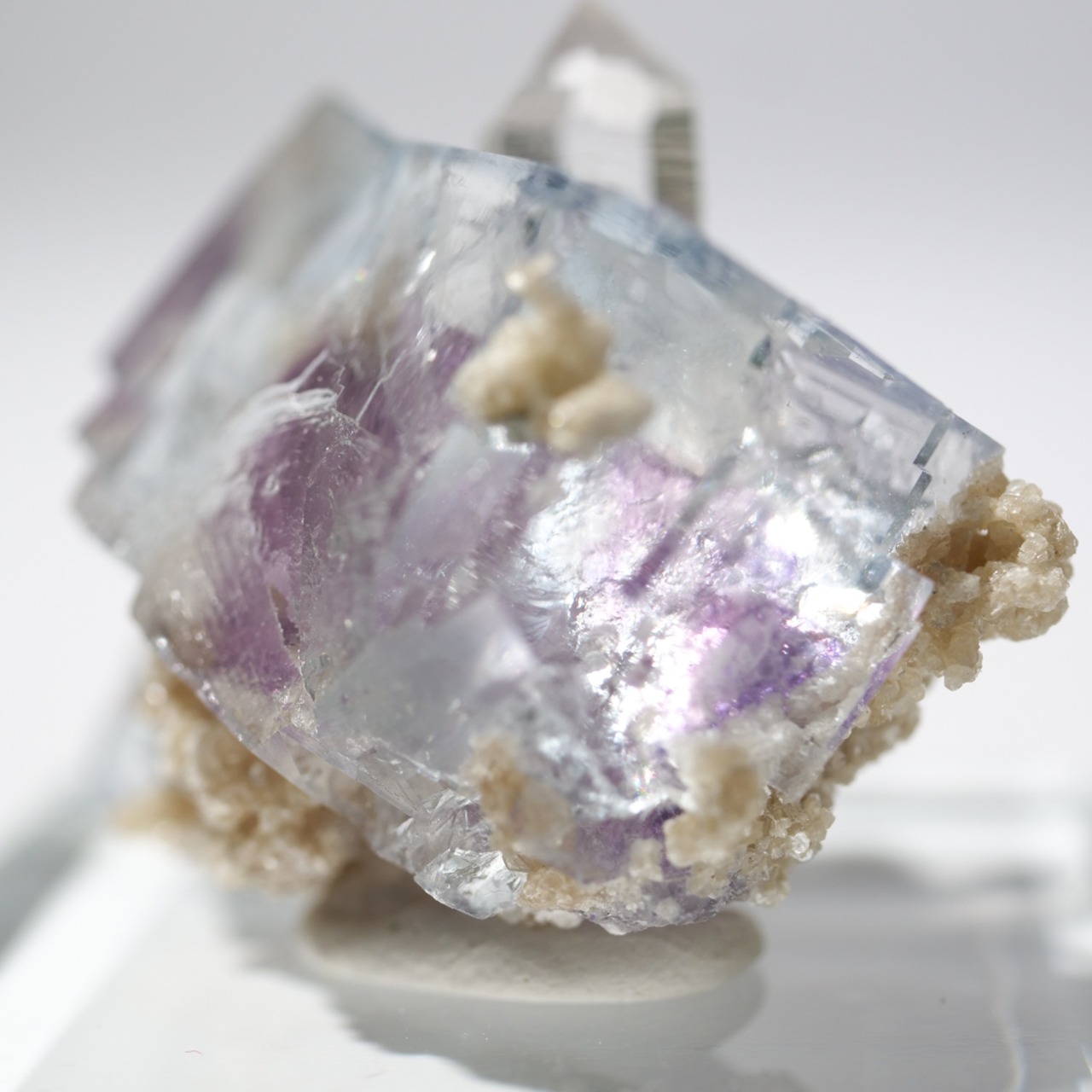 ヤオガンシャン産 フローライト 共生 / 原石 標本