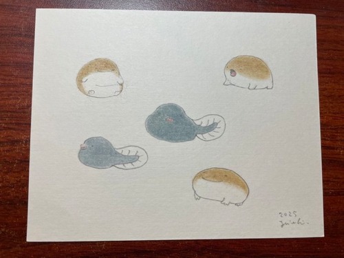 【原画】おもちガエル