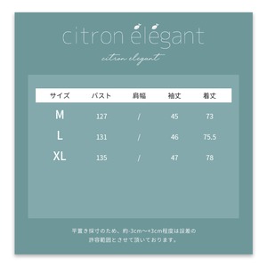 C2アメリカン英字ロゴラグラン半袖Tシャツ