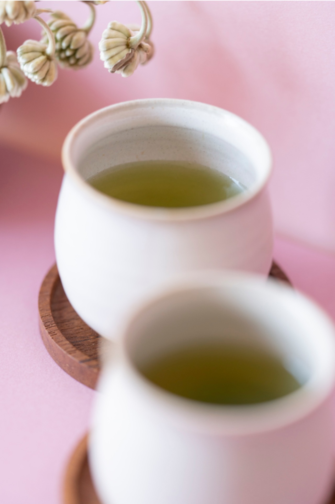 〈寒露〉 ことの茶　おくみどり、さえみどり極、玉露 紫