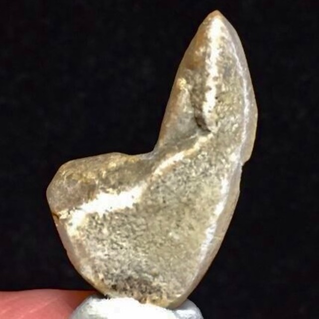 1) 北投石 (台湾産)