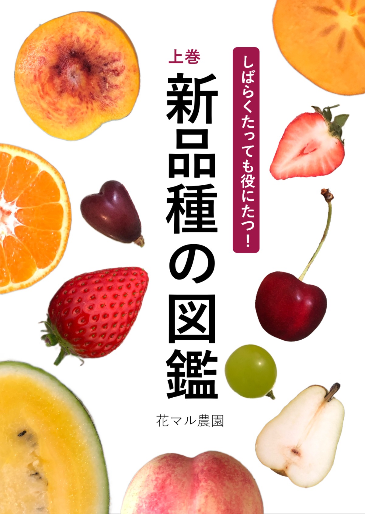 1b1c7a0b7855adc0ae55e0b54ef627