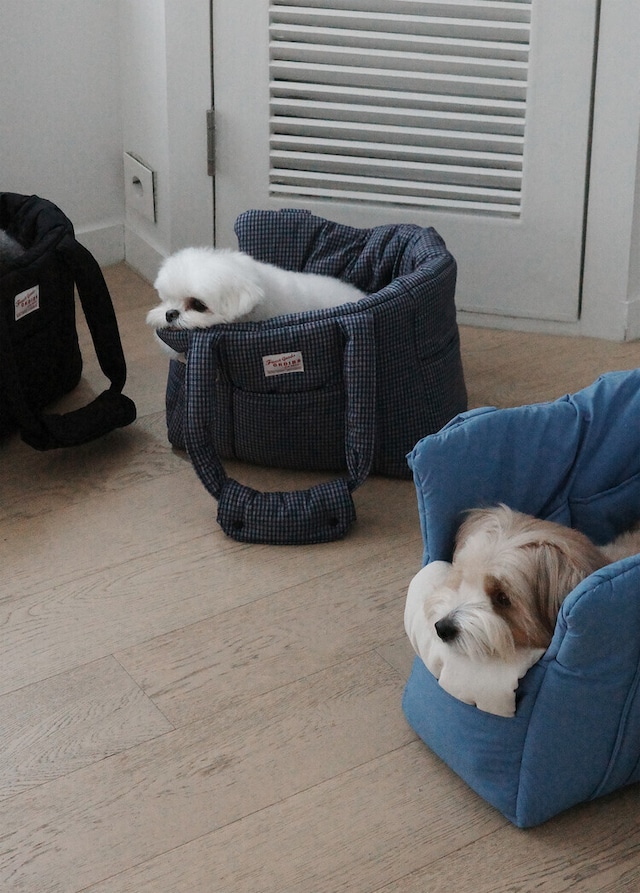 〈予約アイテム〉OHDIBS / DAY CARRY BAG(navy check)