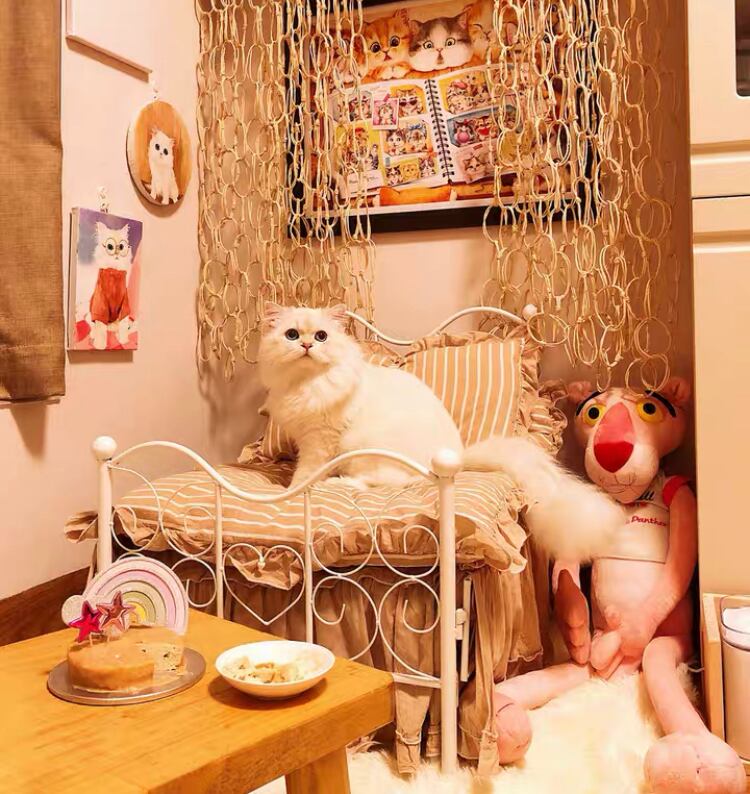 【セット】 フリフリベッド インテリア犬ベッド 猫プリンセス ペット用品 ペットベッド・クッション ペット用品 ペットベッド・クッション