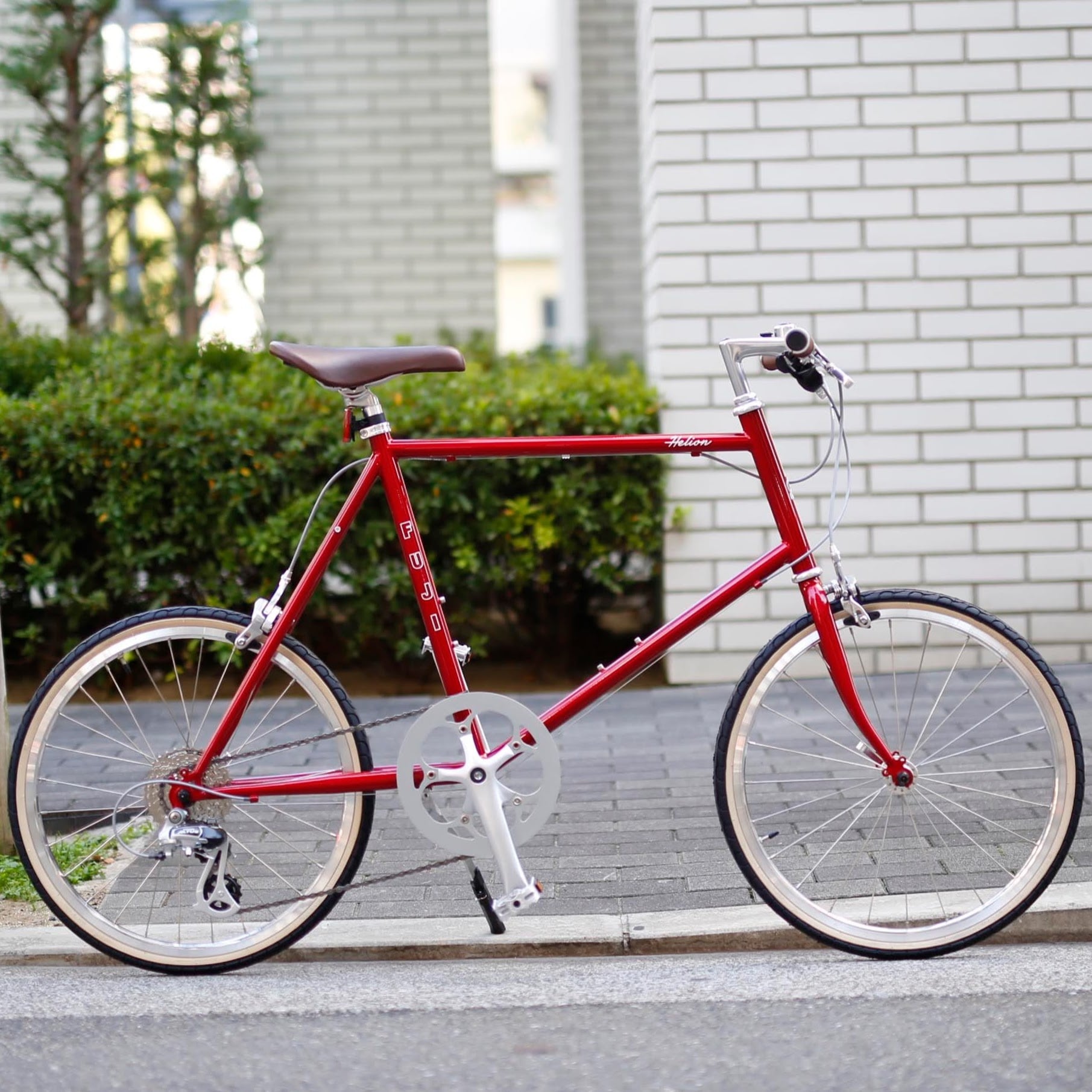 velo life UNPEU