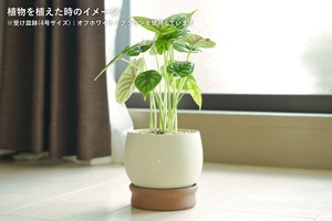 受け皿鉢(4号サイズ)｜オフホワイト×ブラウン