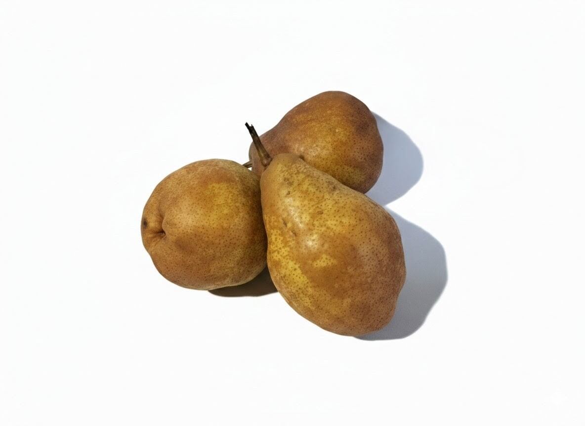 家庭用 シルバーベル 4.5kg