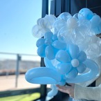 デイジー７本 【❤︎スカイサイダー】