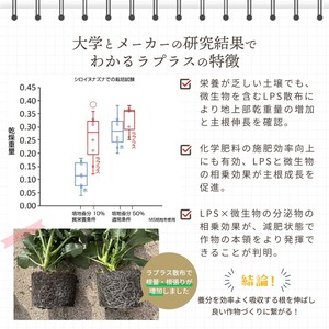 【超得2個】ラプラス - Laplas - まとめ買い10L×2個セット【送料無料】