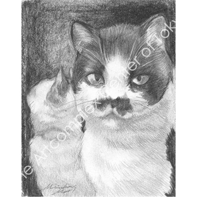 森 水翔「Beard」