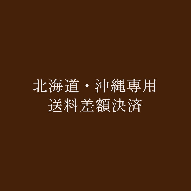 送料差額分アムバスク 北海道 沖縄専用