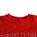 90's Hanes INDIANAHOOSIERS カレッジロゴス ウェット トレーナー L レッド　赤　メンズ　レディース 商品写真2