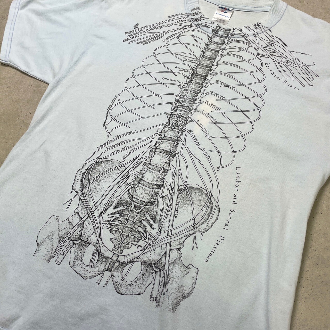 00年代 X線 骨 スケルトン プリントTシャツ Leslie Arwin メンズL 古着 