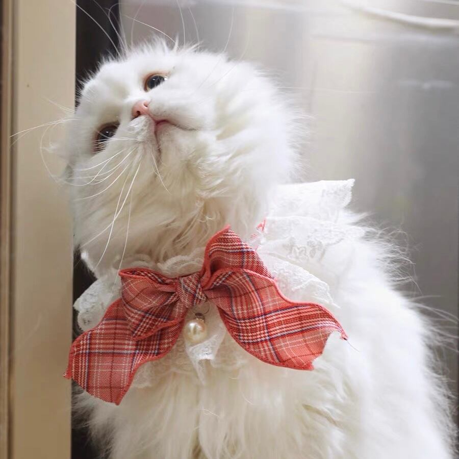 レースチェックリボン<レッド> エプロン リボン 猫 付け襟 | nyanpets