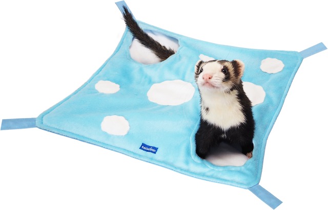 【フェレット】　ふんわりお空のハンモック　雲/星