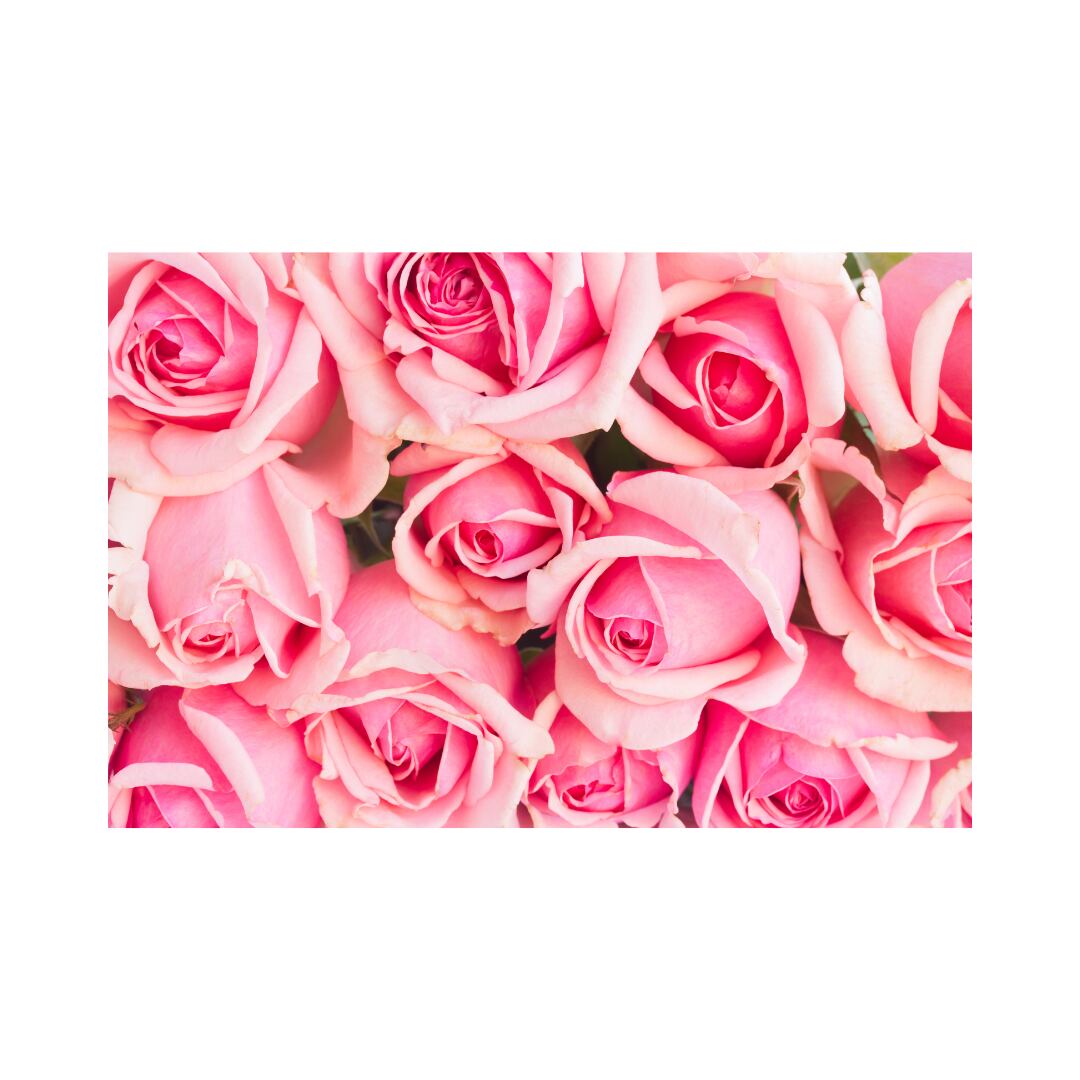 ピンクのバラ 10本束 | あそこの花屋