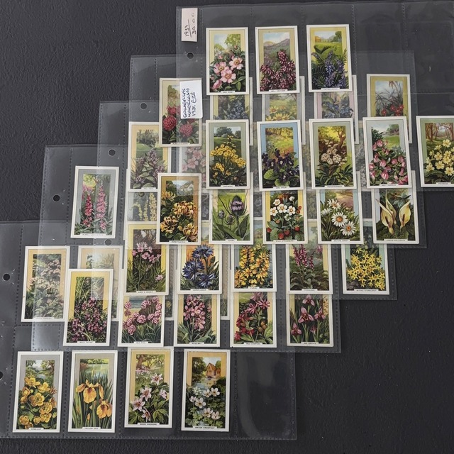 ✦-✦46枚 花・植物✦-✦ 英国 ヴィンテージ シガレットカード イギリス 英国