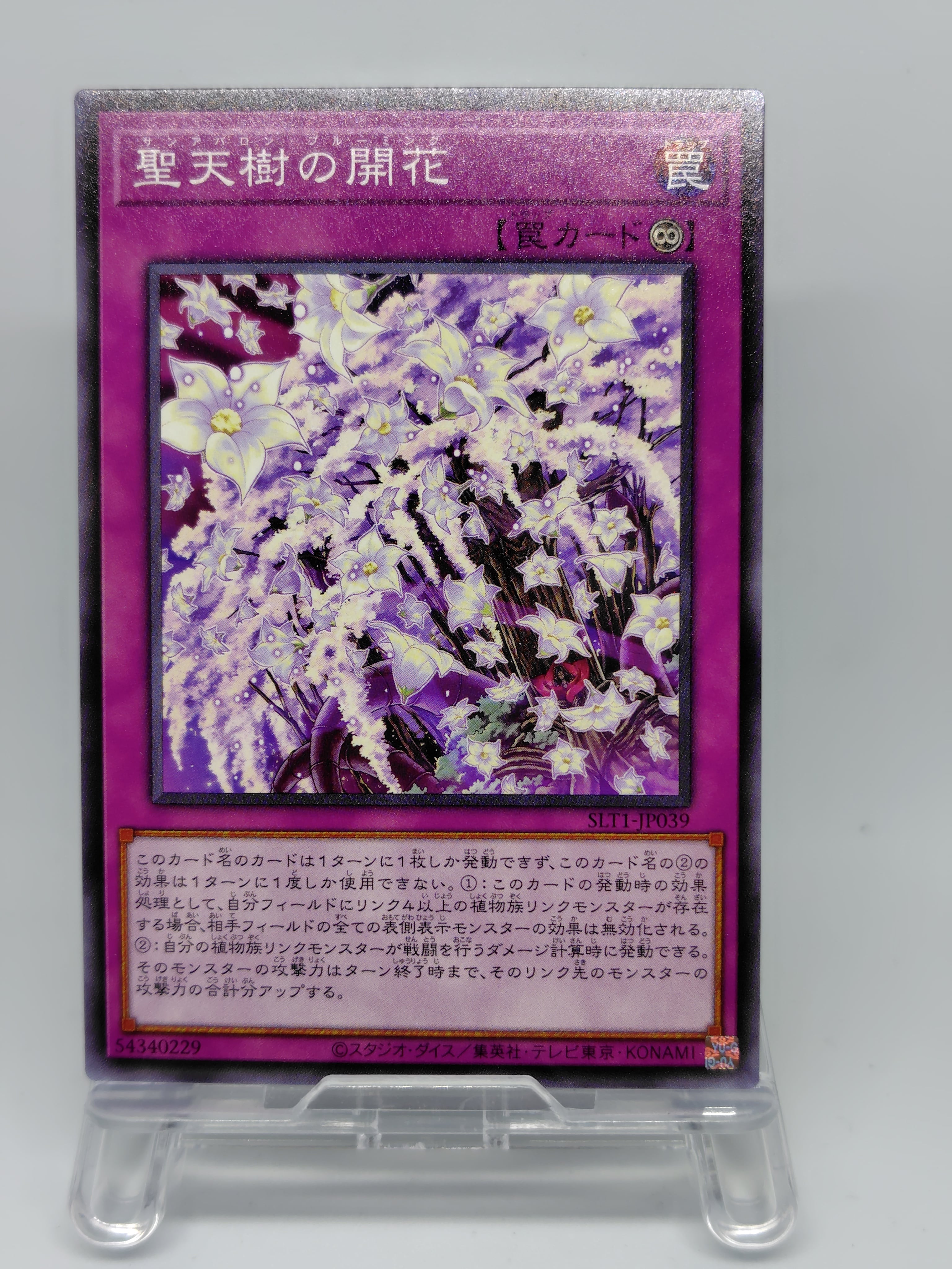 聖天樹の開花【SLT1-JP039】[N]