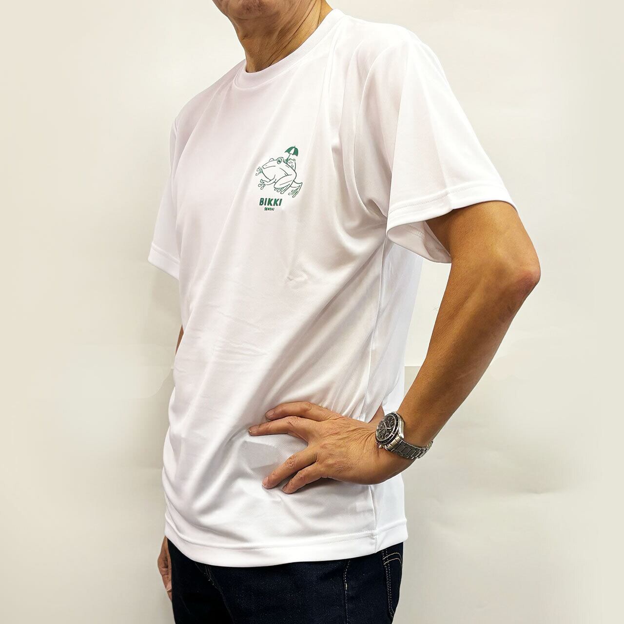 エヴィスTシャツ カーキ入院中着用 みか 5枚まとめ売り画像 ウィルダネス エクスペリエンス(WILDERNESS EXP) Tシャツ 半袖
