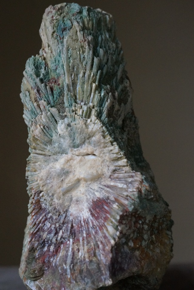 菊花石　Chrysanthemum Stone　B