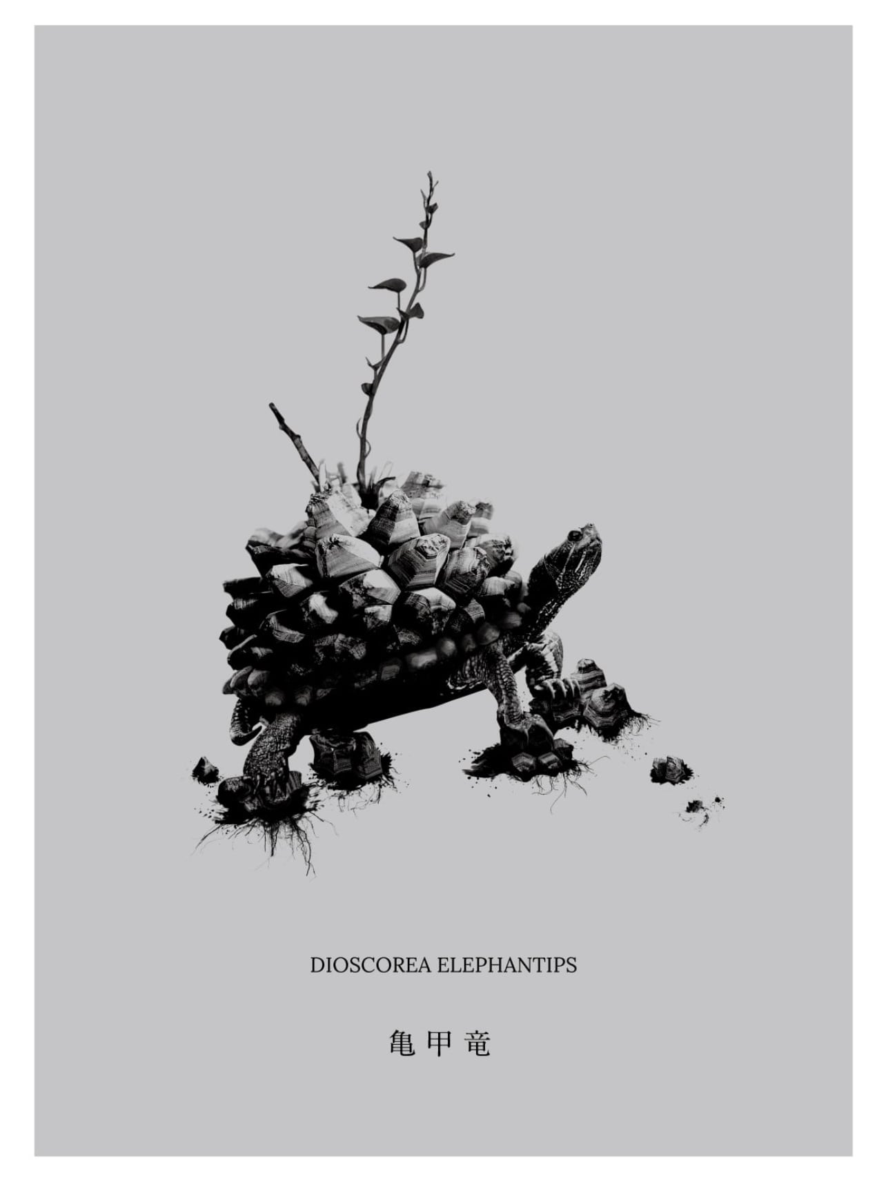 【原画作品】★貼り絵★亀甲竜 1b35132c7a723925b54bfb1f12ac8e