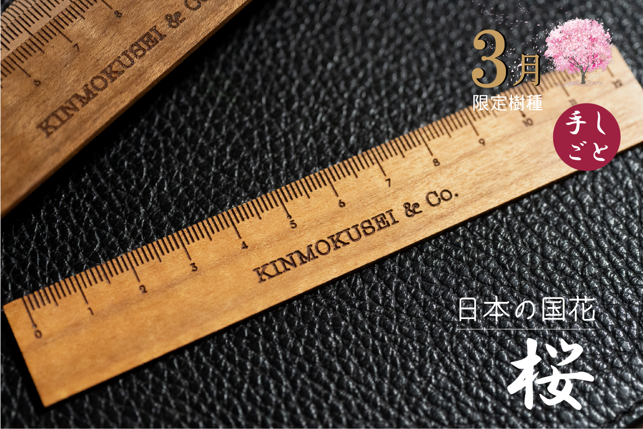 銘木定規【日本の国花】 桜 3月限定 12cm