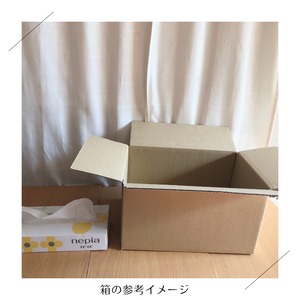 【5月ごろ育つまでおやすみ】＜クール便・火曜日発送＞【大きいサイズ】季節のお野菜セット