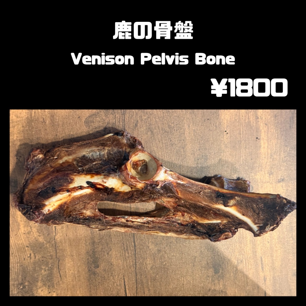 乾燥　鹿の骨盤