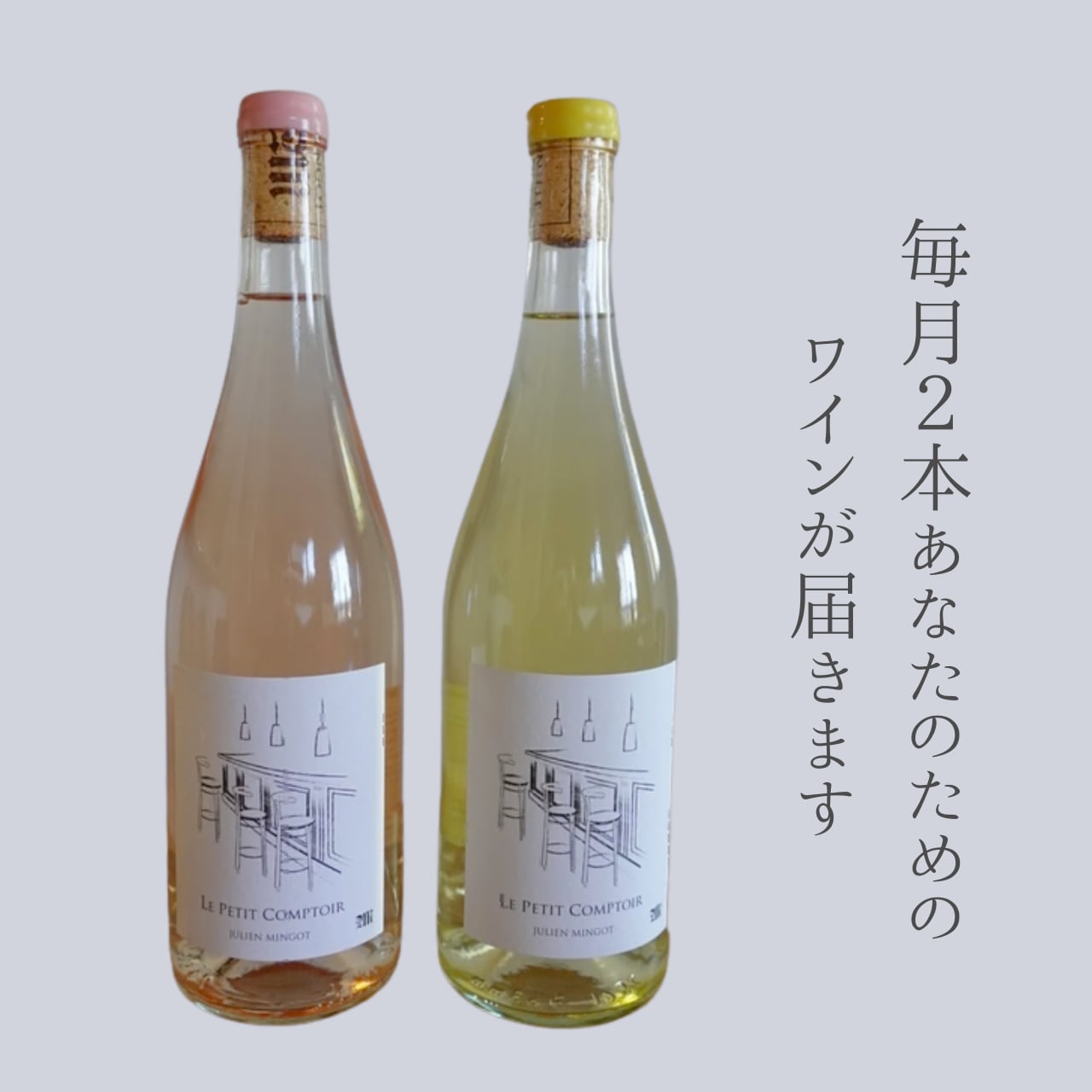 ワインの定期便　２本セット