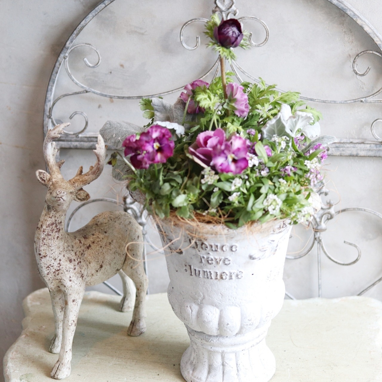 冬から春に楽しむ寄せ植え　アネモネファネモスアンティークなポットのベルベットバイオレットの寄せ植え　お正月にオススメ　届いてすぐ玄関に飾れる 　プレゼントにもオススメ　