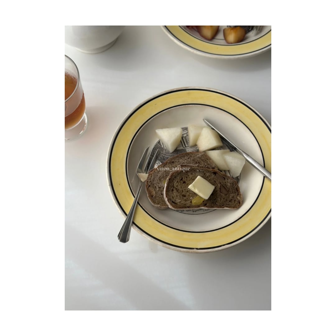 Choisy le roi ショワジールロワ / イエローリムのグリザイユプレート “École de Médecine”