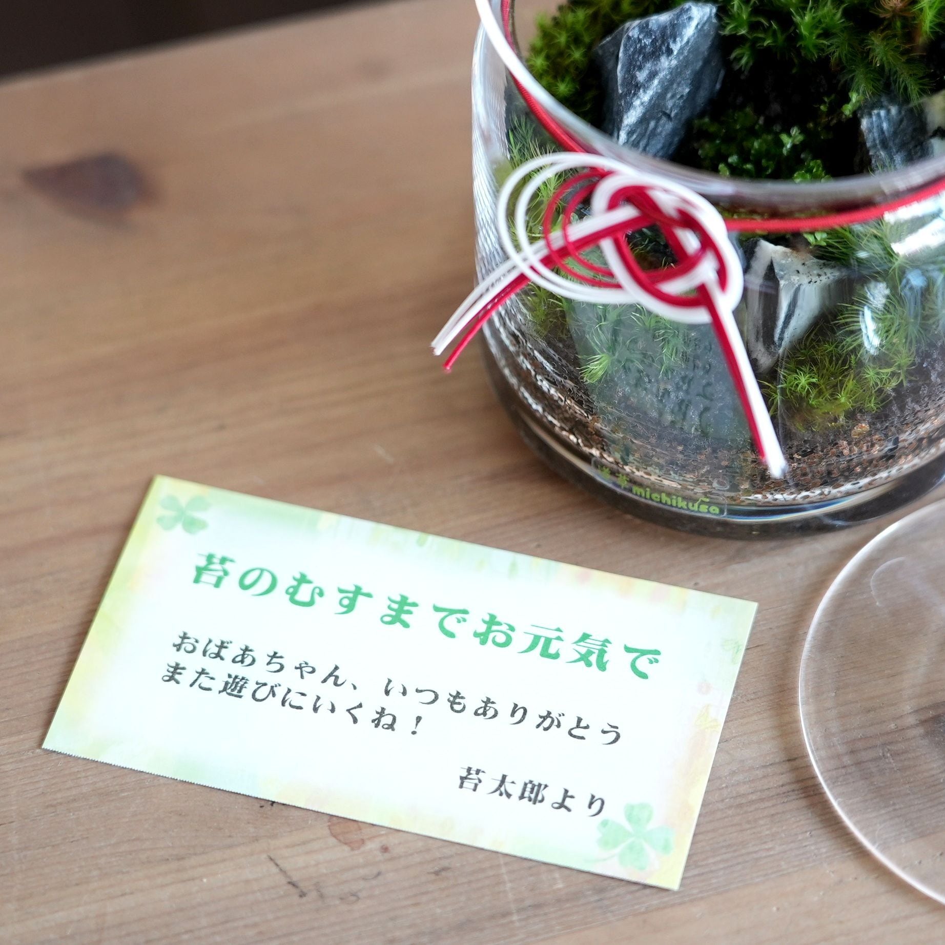 オリジナルメッセージ印刷】メッセージカード | 苔テラリウム専門