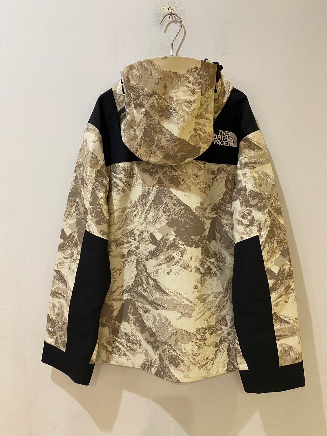 THE NORTH FACE GORE-TEX mountain jacket | peache select