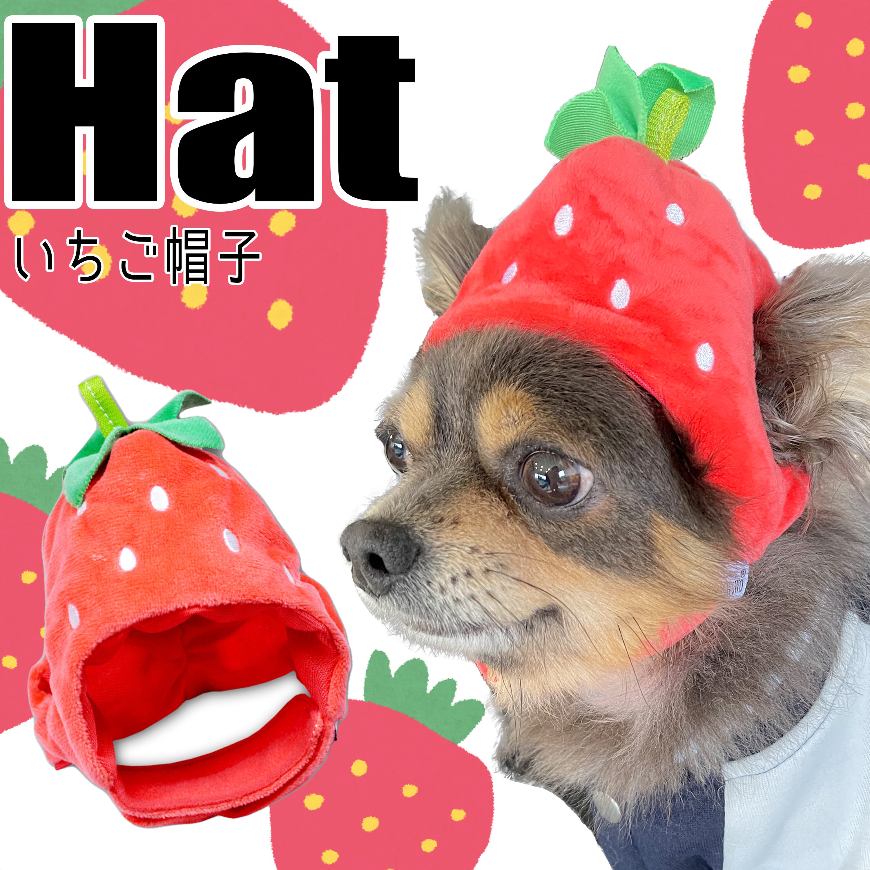 帽子】いちご帽 笑 | G-snap