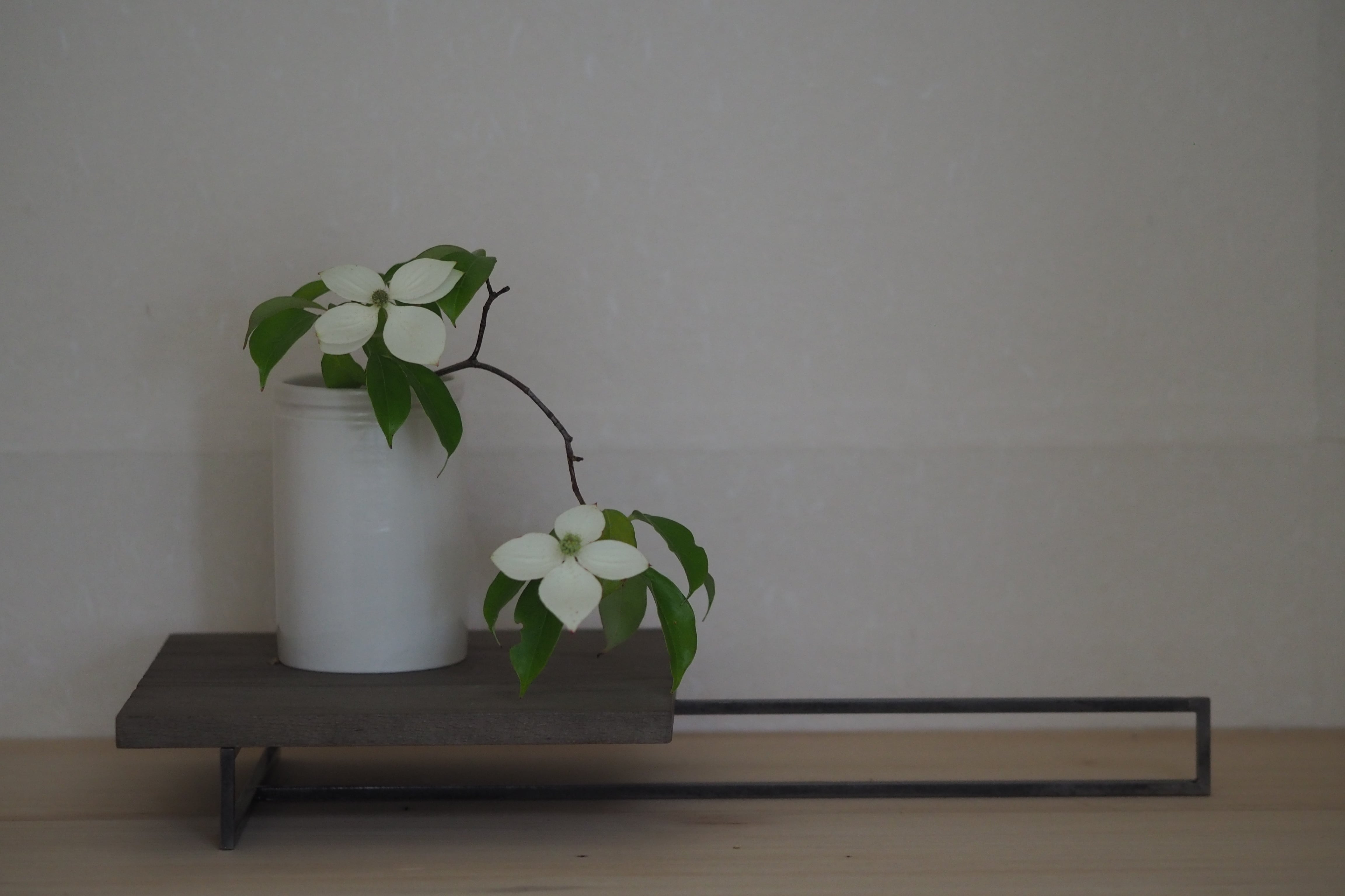 伊藤環 | 陶屋なづな 伊藤環 | 陶屋なづな