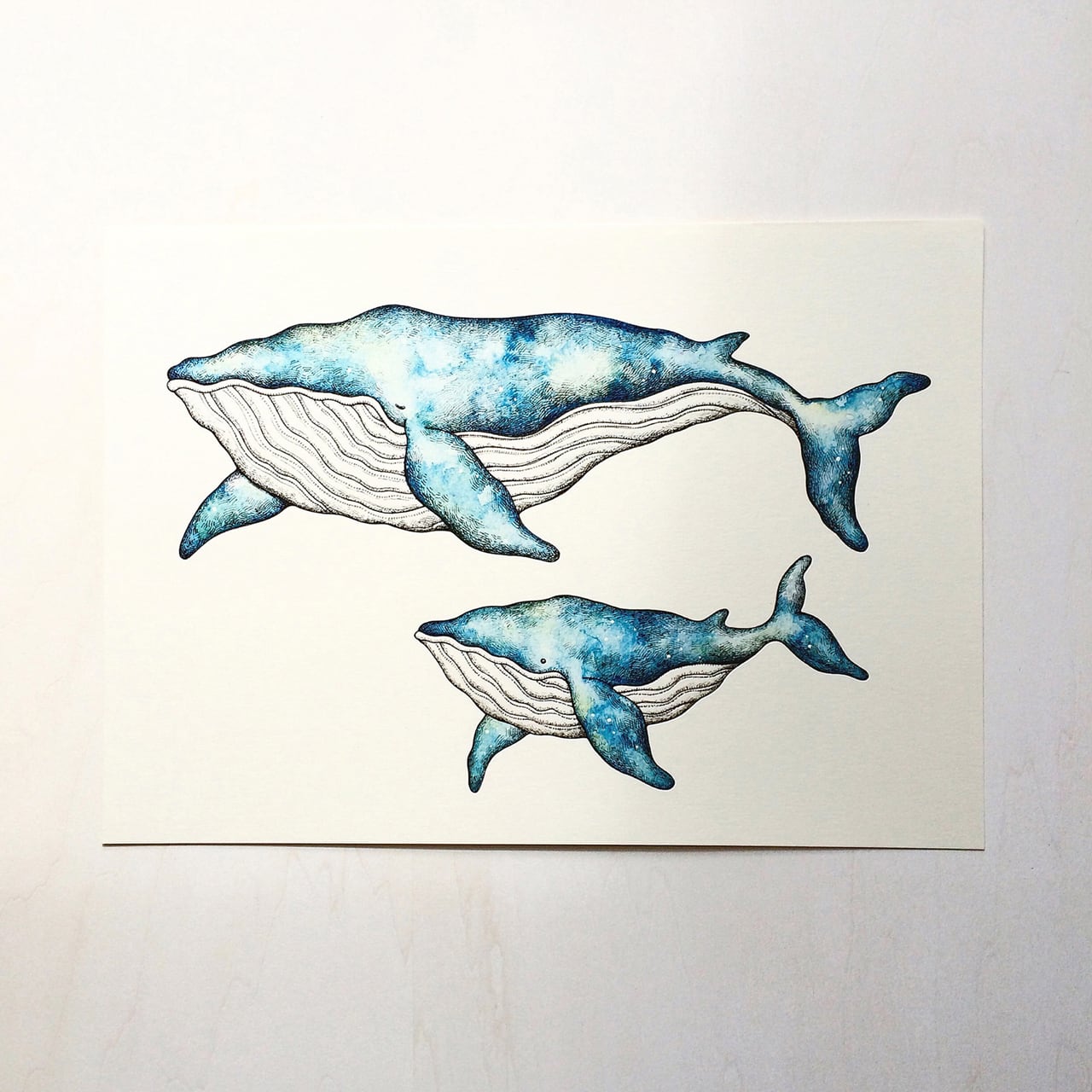 ダウンロード商品】クジラの親子 アートプリント/イラスト複製画