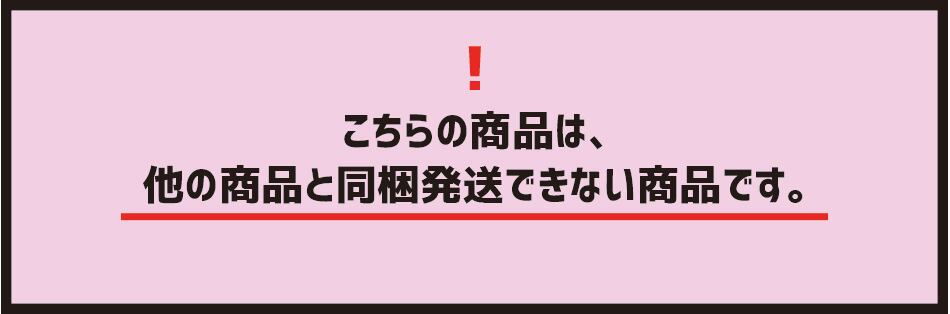 スプラトゥーン 2  / イカロゴマット / THE KING OF GAMES