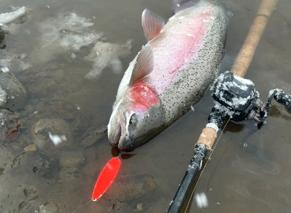 JUNCTION×TRANSCENDENCE ”LateBloomings Junction Ver.60＋