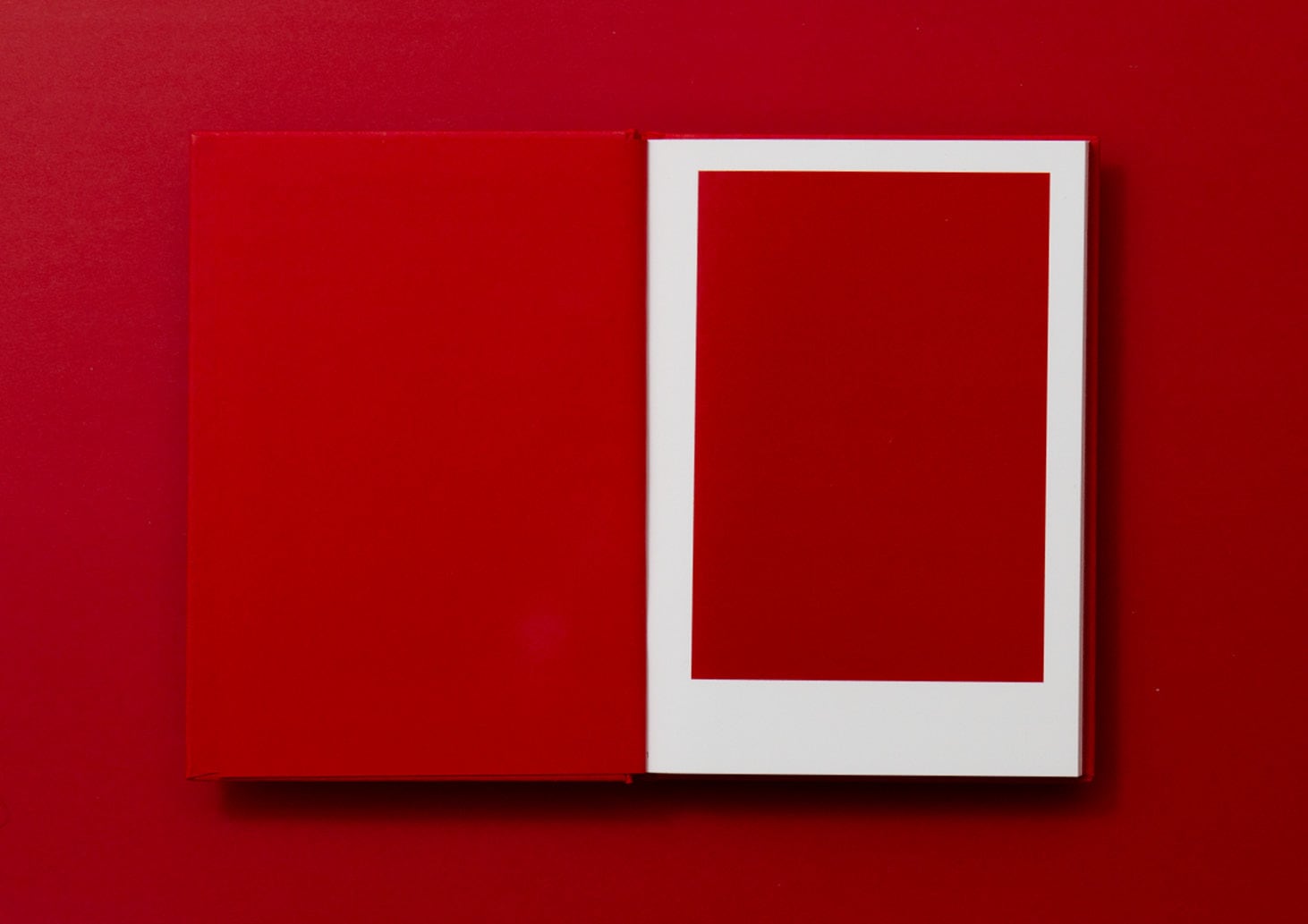 色の本1 ｜ The Book of Colors 1 | △□SHOP