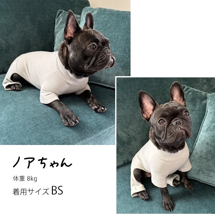 KM851OPフレブル パグ 服 吸湿 発熱 抗菌 防臭 ロンパース Tシャツ