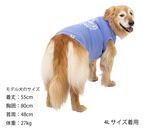Chi-bee CARDBORD KNIT　3L､4L､5Lサイズ