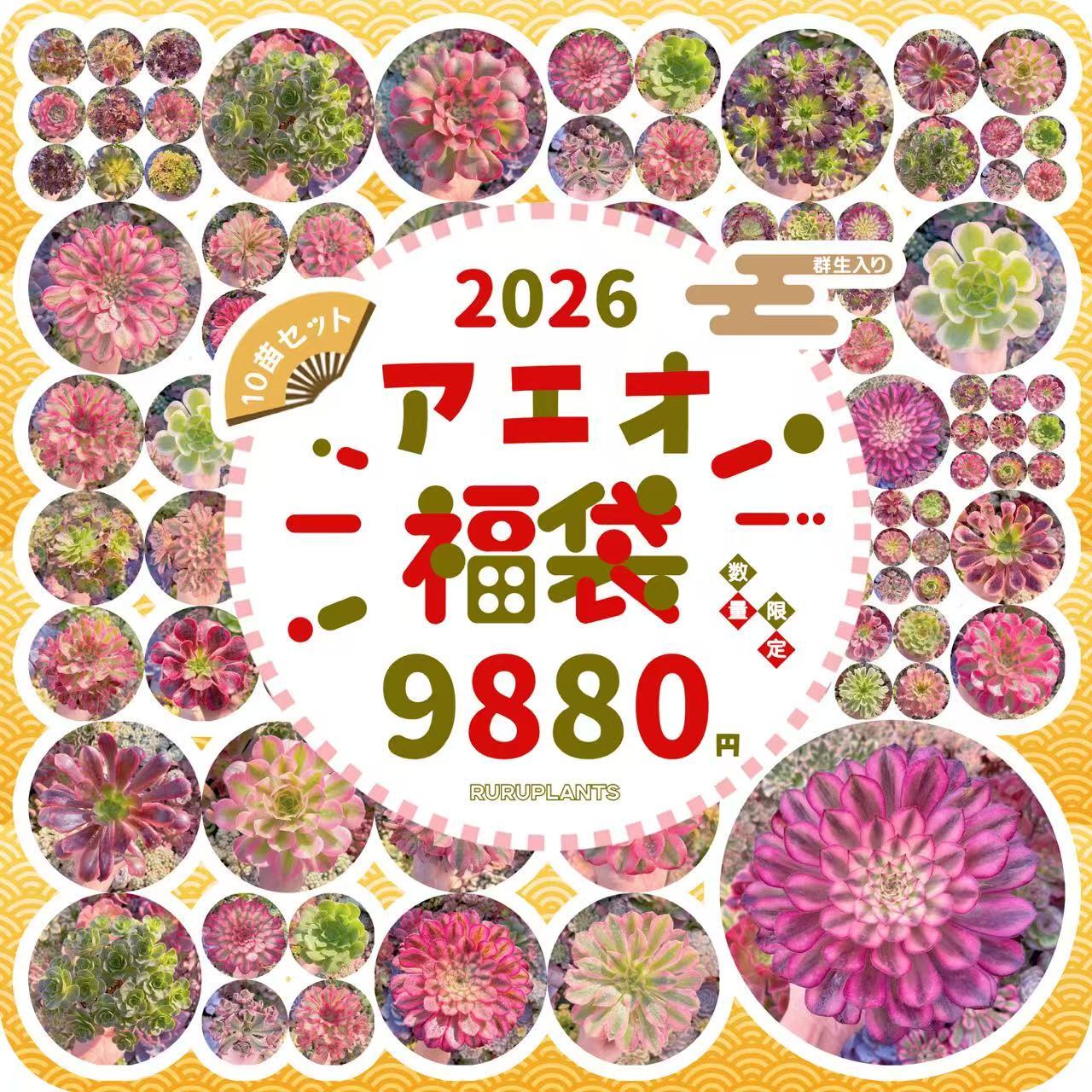 ❤︎るる農園アエオ福袋❤︎