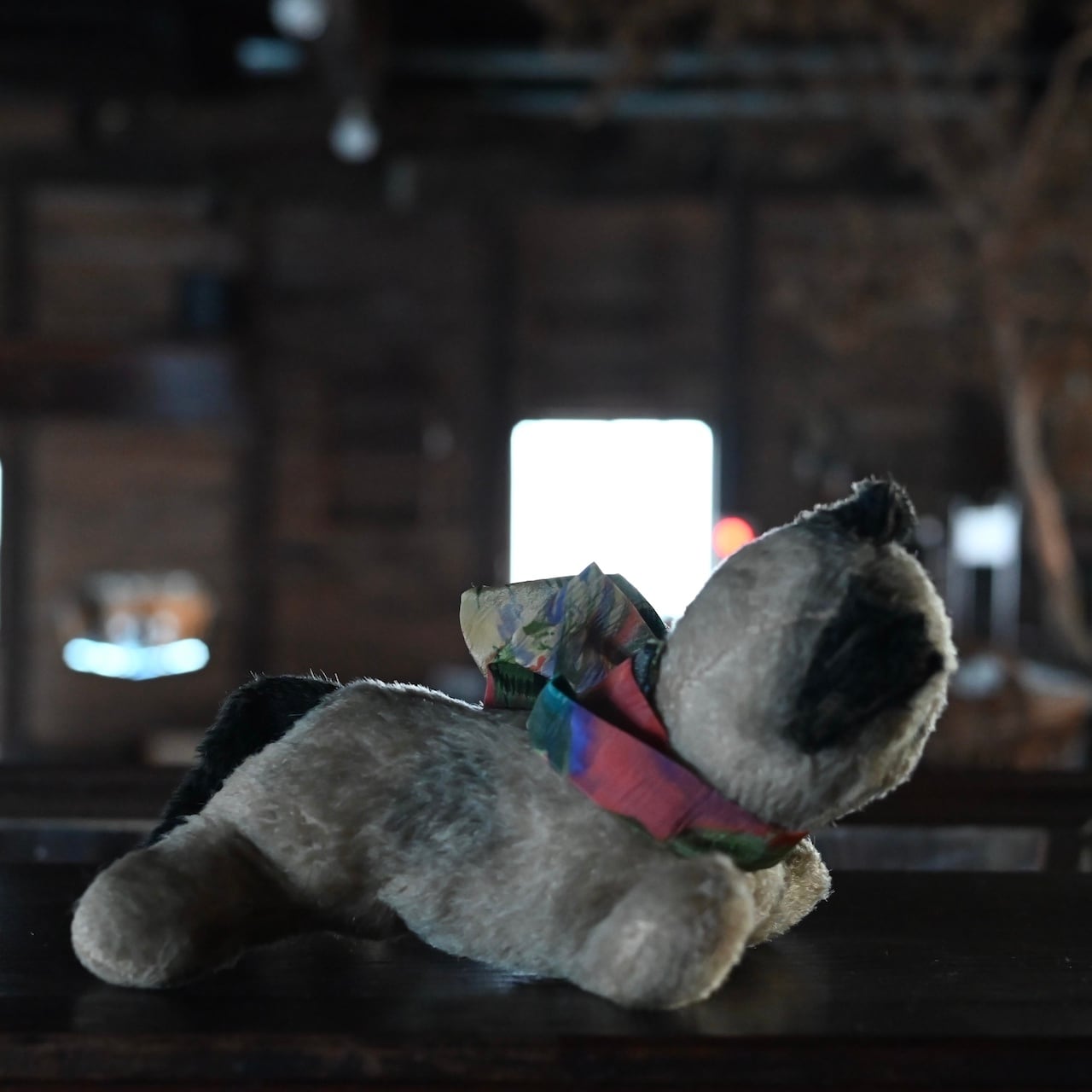 Stuffed Toy / ぬいぐるみ〈 猫・オブジェ・ディスプレイ Stuffed Toy / ぬいぐるみ〈 猫・オブジェ・ディスプレイ
