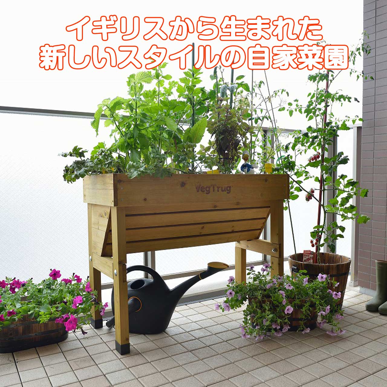 ベジトラグ ウォールハガー S タカショー ホームベジトラグ Takasho 1b5b6774246131732e3d26b0ca6de0