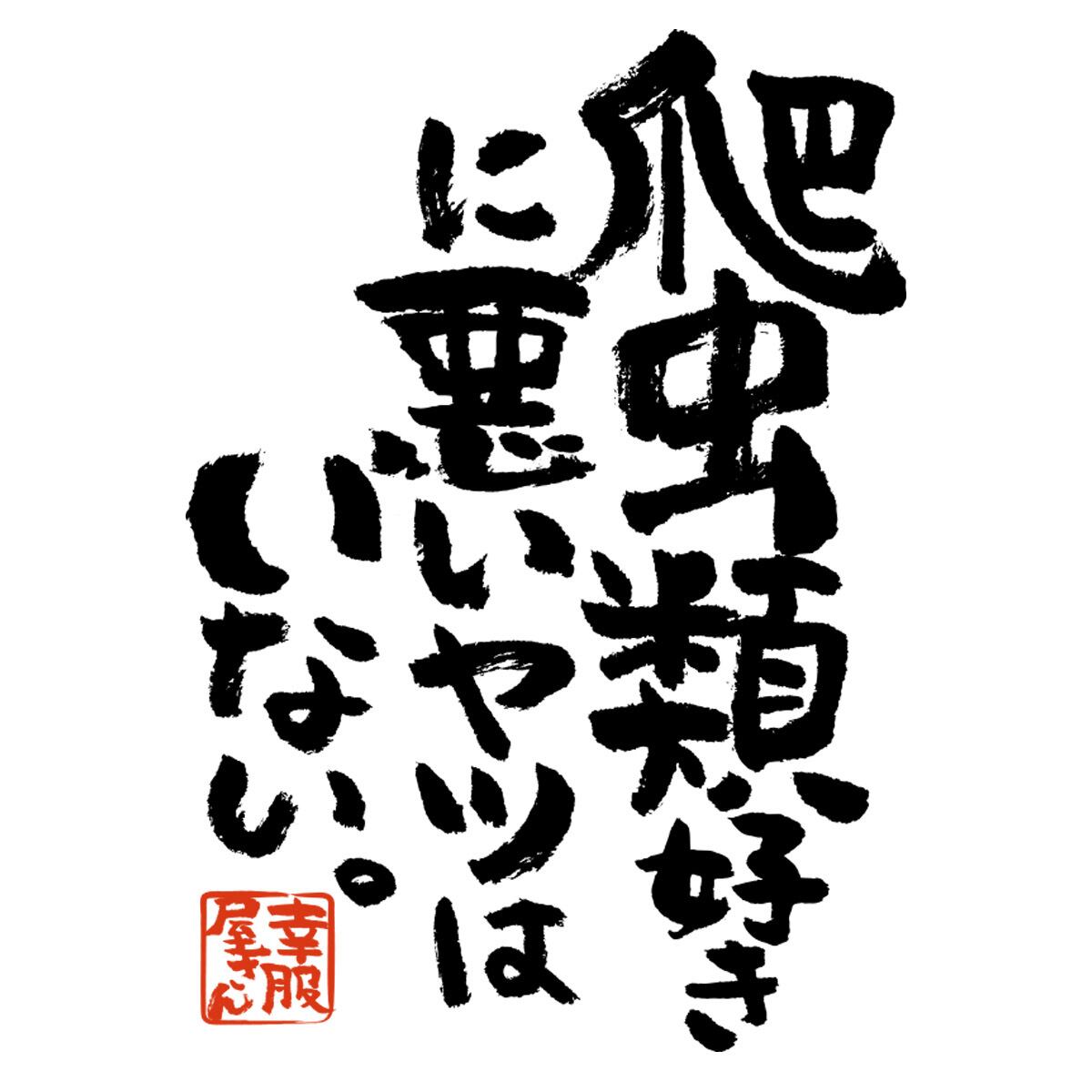 爬虫類好きに悪いヤツはいない。 ka400-77 おもしろ 漢字Tシャツ