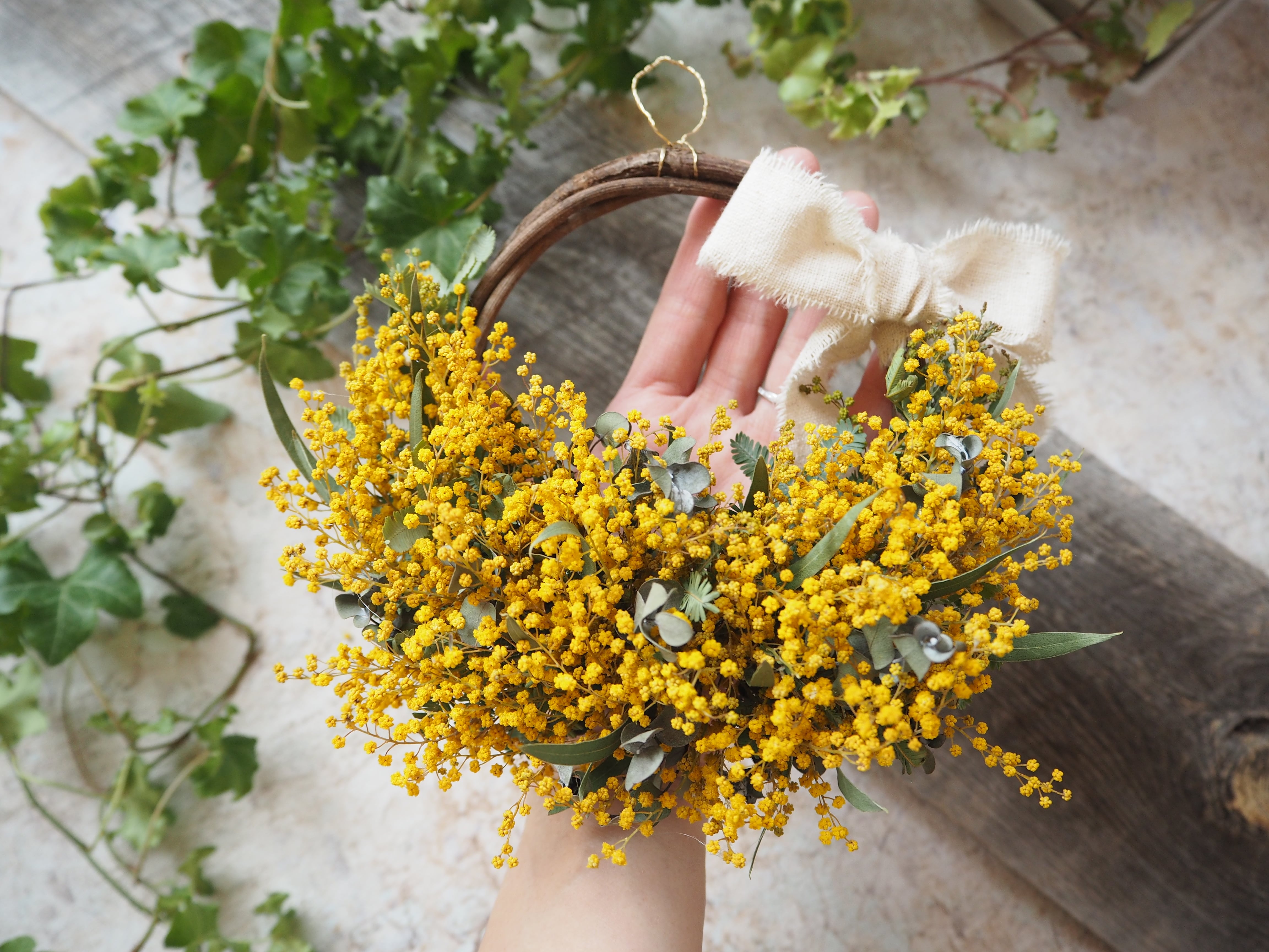 ハーフリースーmimosa Vol 2 Atelier Ibuki ハーフリースーmimosa Vol 2 Atelier Ibuki