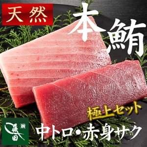 冷凍天然本鮪　中トロ・赤身サクセット（船内凍結品） [各約２００ｇ]【天然マグロ】【まぐろ、鮪】【七五三/内祝/ギフト/お中元】（0003）