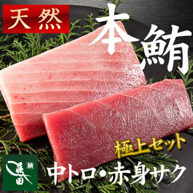 冷凍天然本鮪　中トロ・赤身サクセット（船内凍結品） [各約２００ｇ]【天然マグロ】【まぐろ、鮪】【七五三/内祝/ギフト/お中元】（0003）