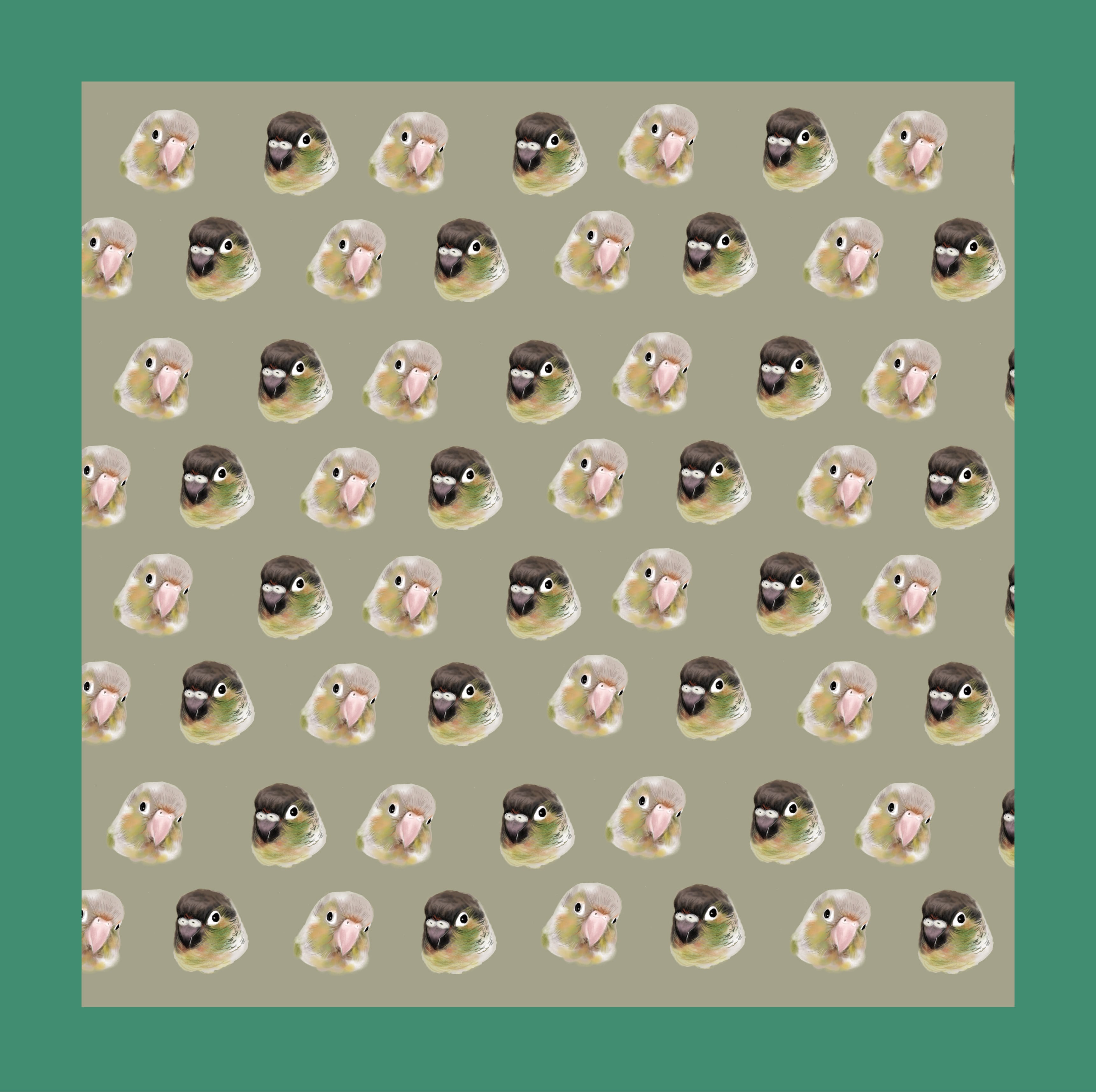 ウロコインコ バンダナ | petbox1976