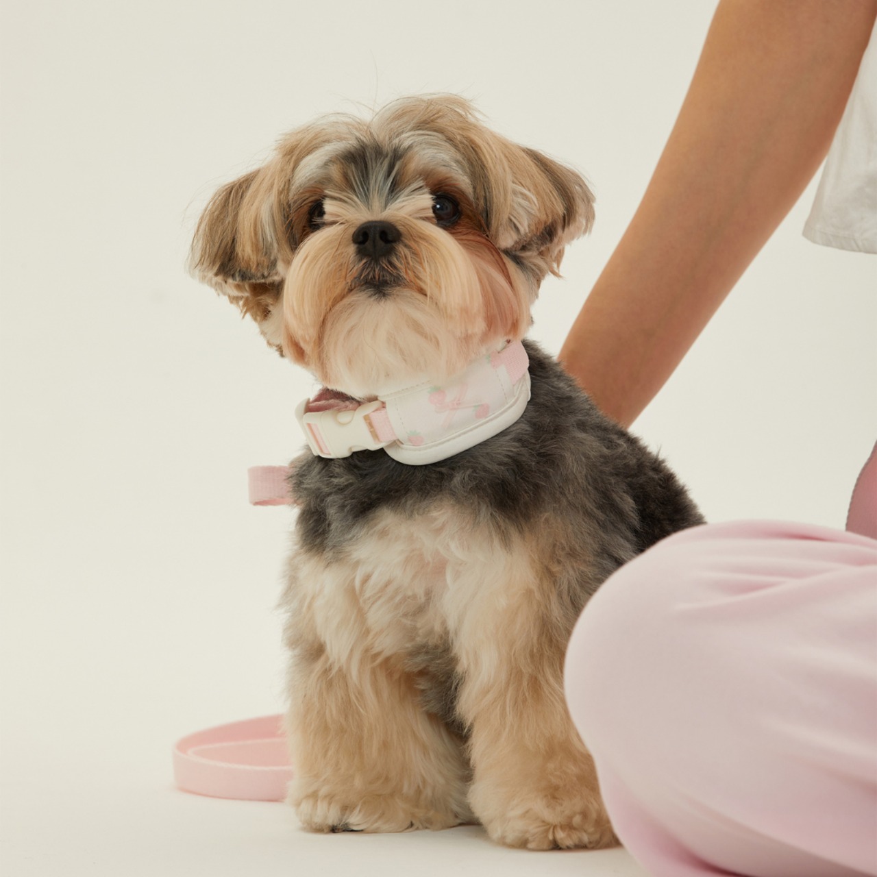 【予約】[ thesallyslaw ] Bailey cushioning collar｜Strawberry Blush - 7